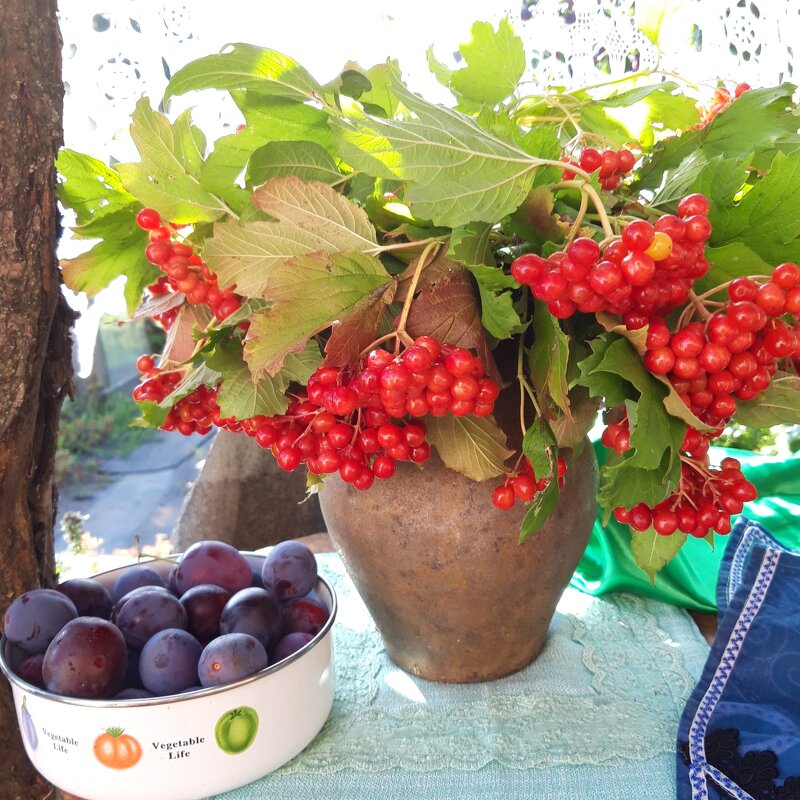 Август. - Венера Чуйкова