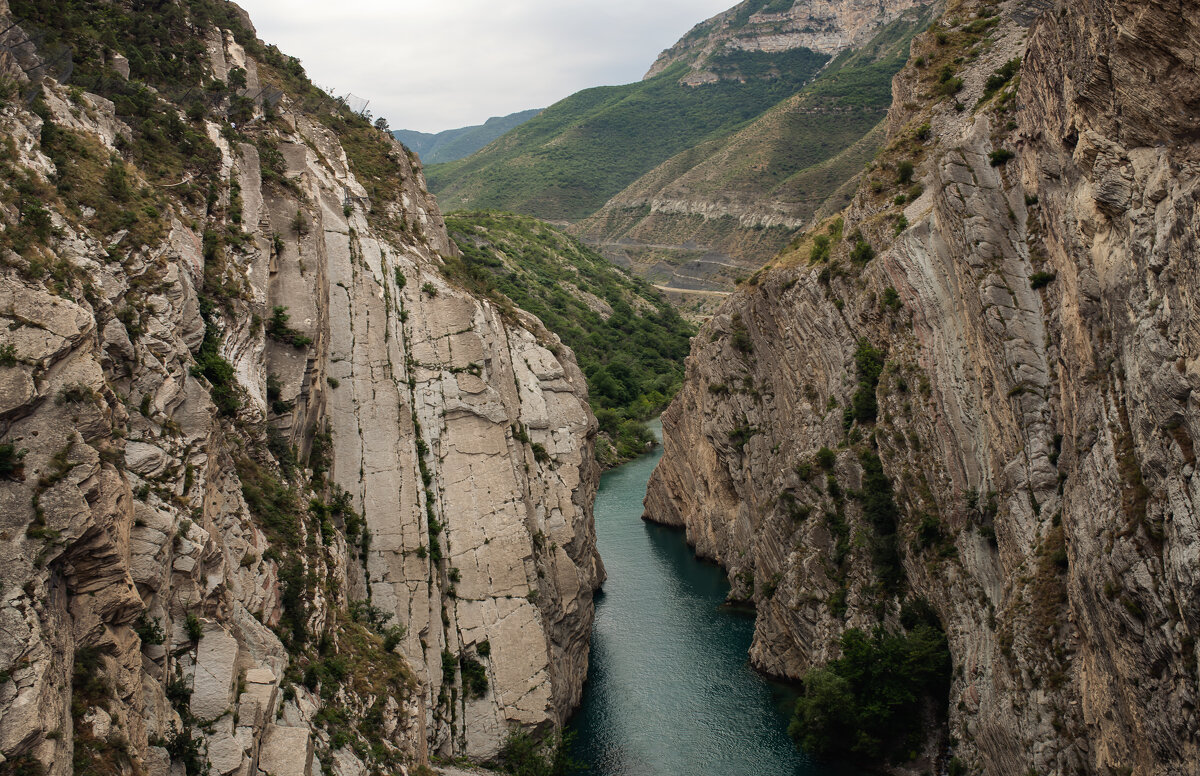 Река Сулак - Лилия . Река Сулак - Лилия .