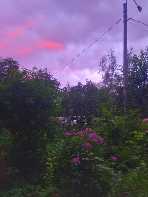 Рассвет - Сапсан 