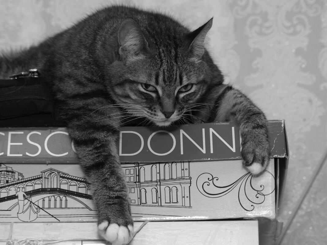 Это моё. - Сергей Сергеев Это моё. - Сергей Сергеев