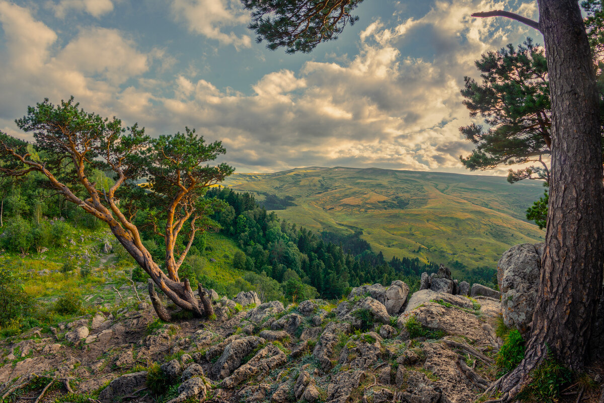 *** - Аnatoly Gaponenko