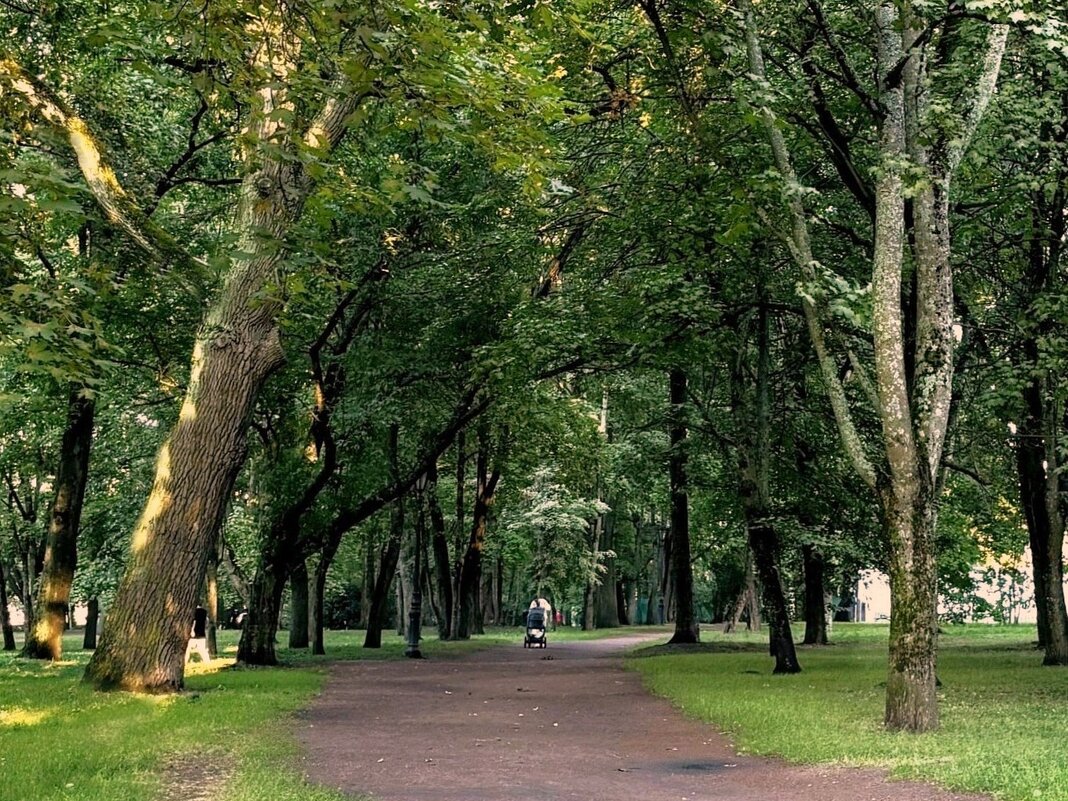 В летнем парке - Мария - Maria