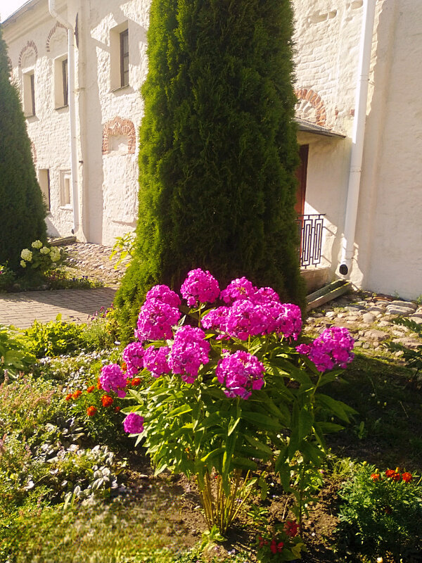 Монастырский  двор - Сергей Кочнев