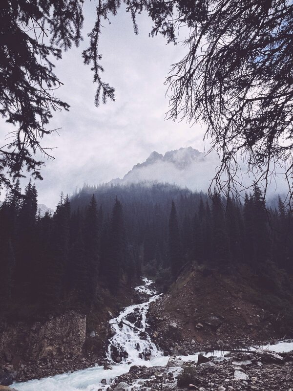 Сейчас в горах хорошо - Георгиевич Сейчас в горах хорошо - Георгиевич