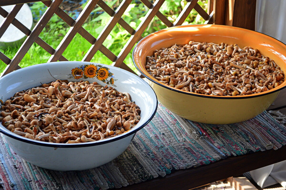 Начинаем переработку - Татьяна Лютаева