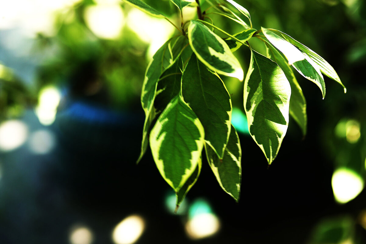 На солнышке - Юрий Гайворонскiий