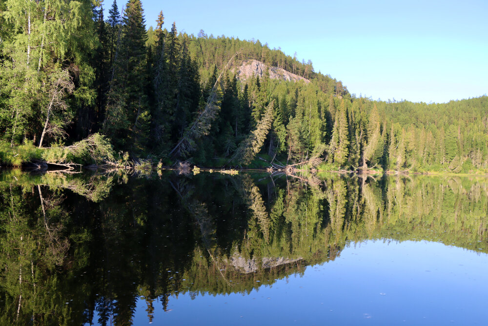 Отражения... - Галина Ильясова