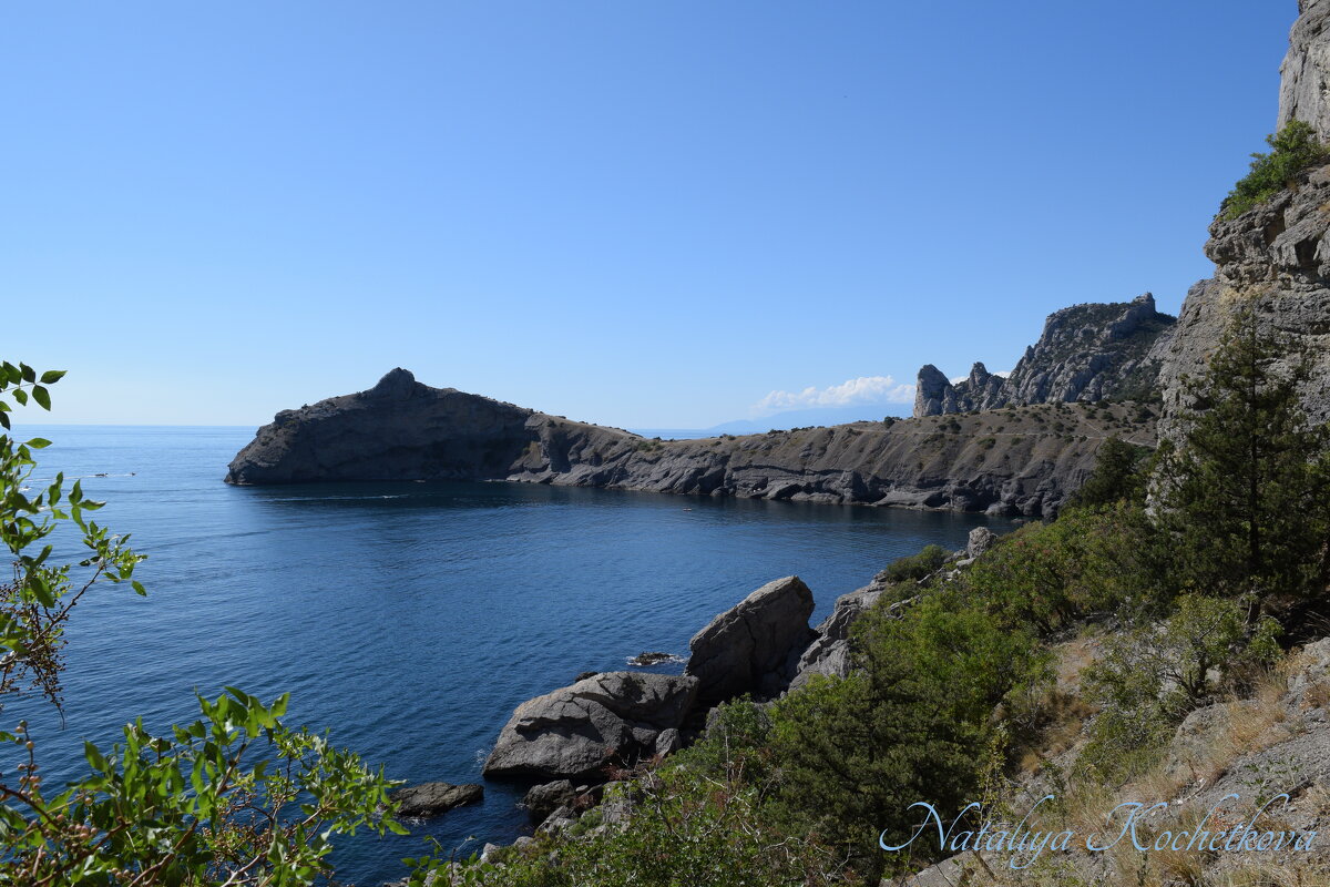 Природа Крыма - Amazing Cosmea