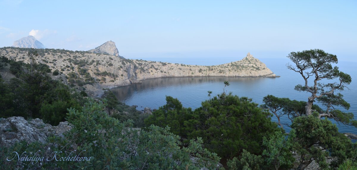 Природа Крыма - Amazing Cosmea