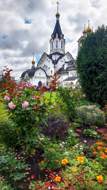*** - Владимир Безбородов *** - Владимир Безбородов