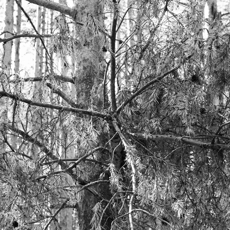 Назва. отсу. - Денис Безногов