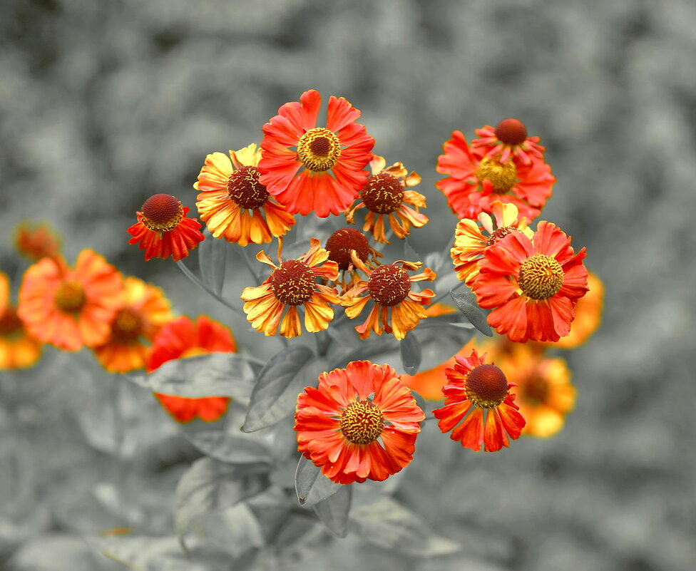 август... - Andrey Bragin август... - Andrey Bragin