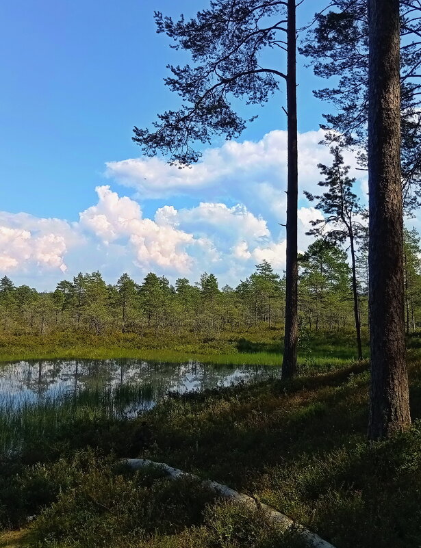 Прогулки на природе .. - Татьян@ Ивановна