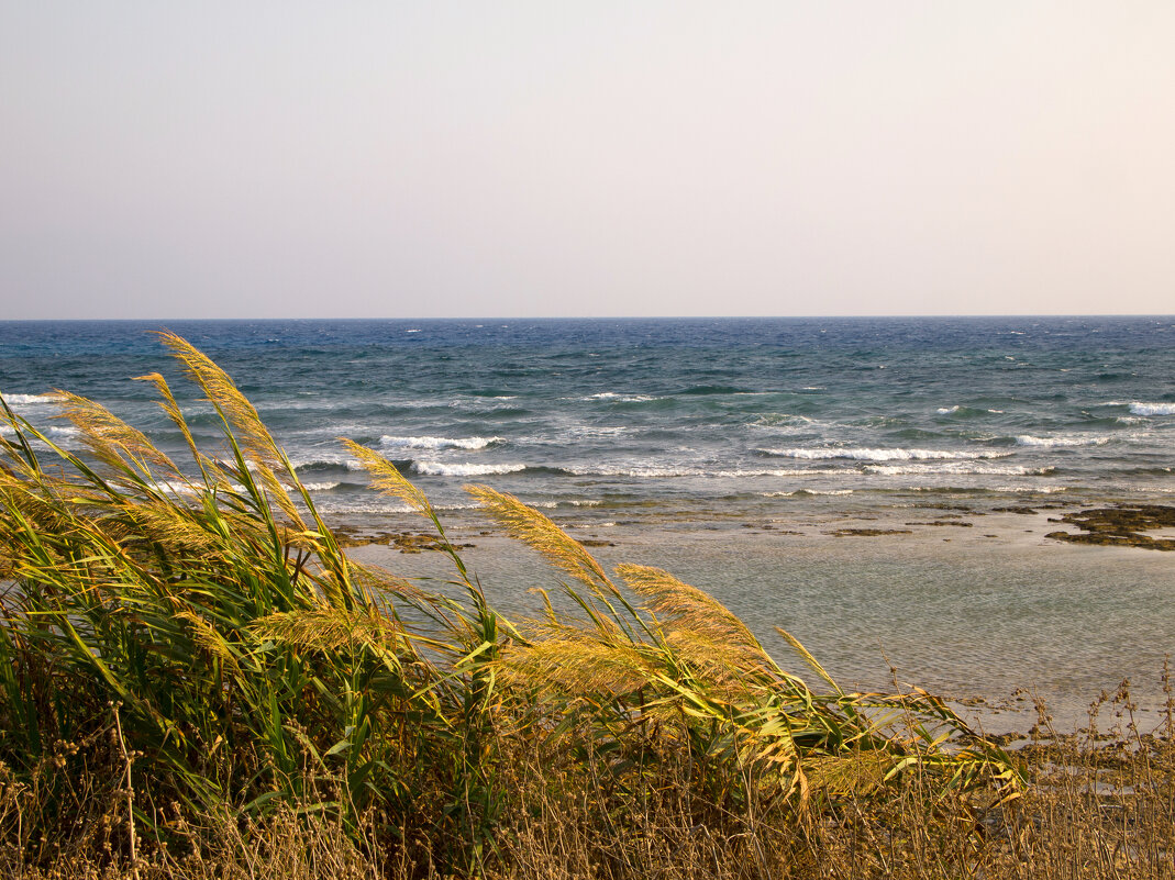 Кипр. Айя-Напа - Андрей 