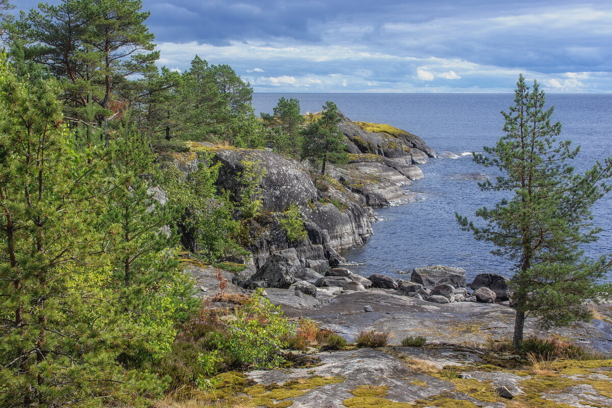 *** - Сергей Могутов *** - Сергей Могутов