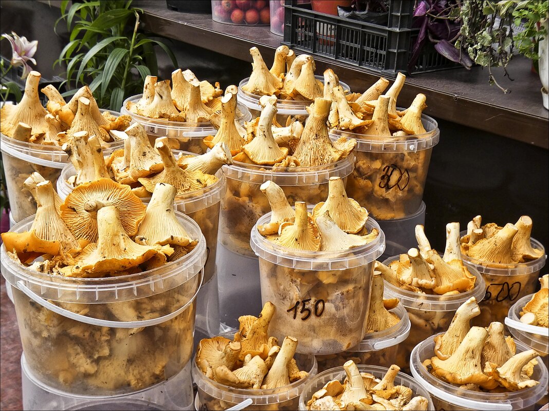 Кто-то собирает, а кто-то покупает... - Валентина *