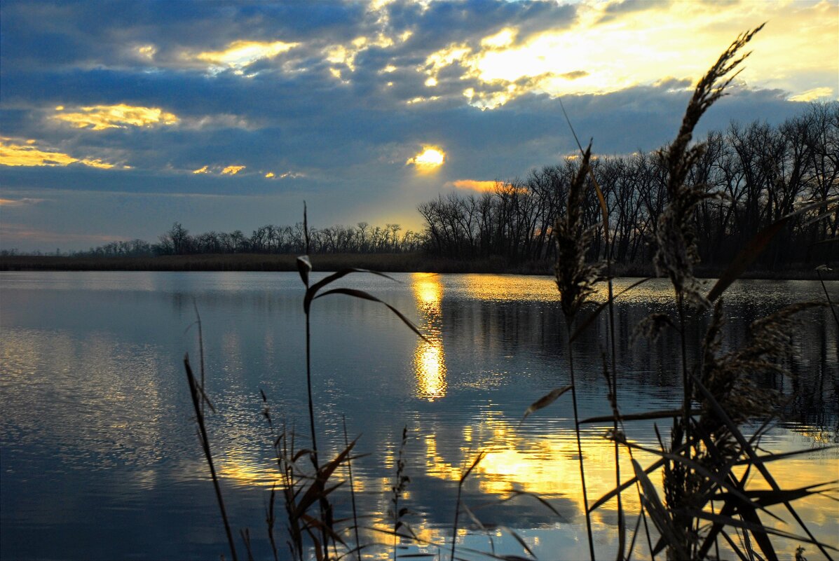 Утро. - Владимир 