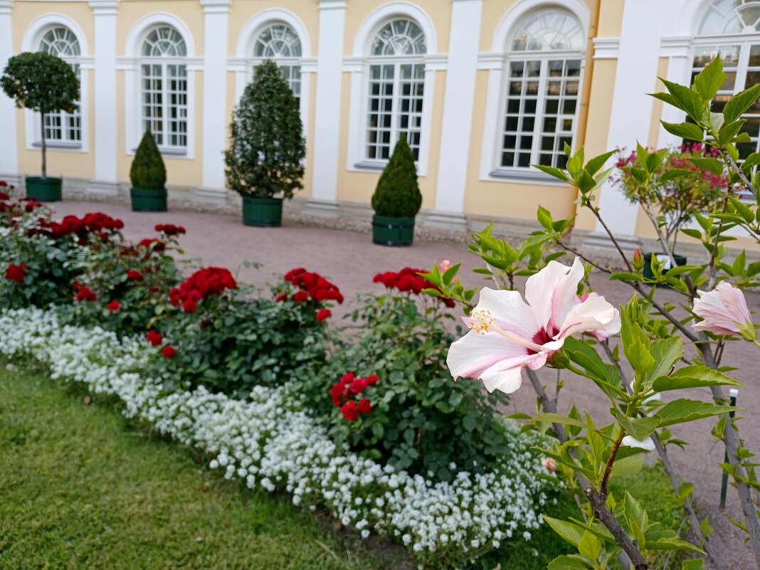 Цветы Оранжерейного сада. - Лия ☼