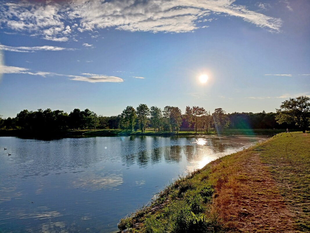Вечернее солнце. - Лия ☼ Вечернее солнце. - Лия ☼