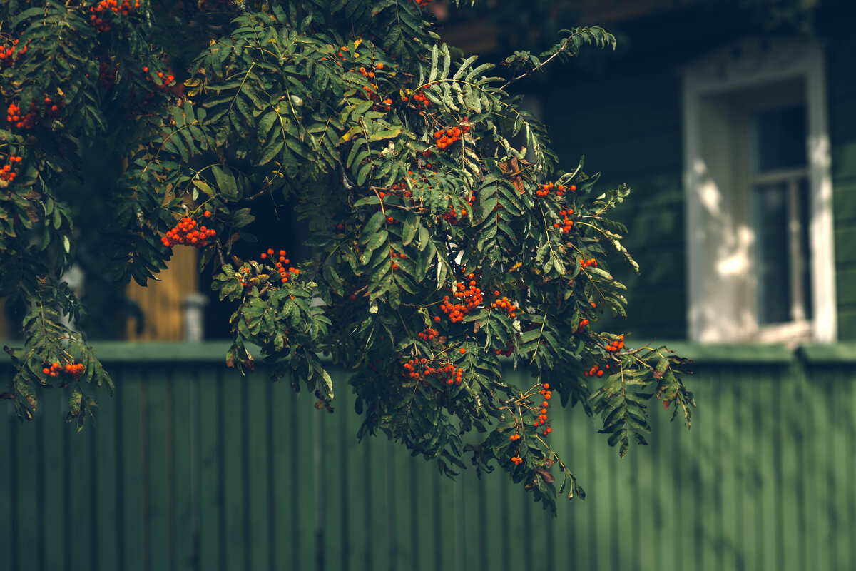 Суздаль такой Суздаль - Вячеслав Владимирович Суздаль такой Суздаль - Вячеслав Владимирович