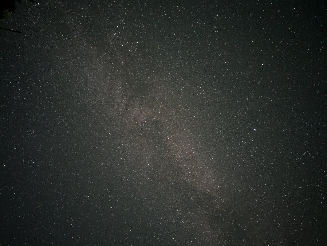 Звёздное небо августа - Анастасия Логинова