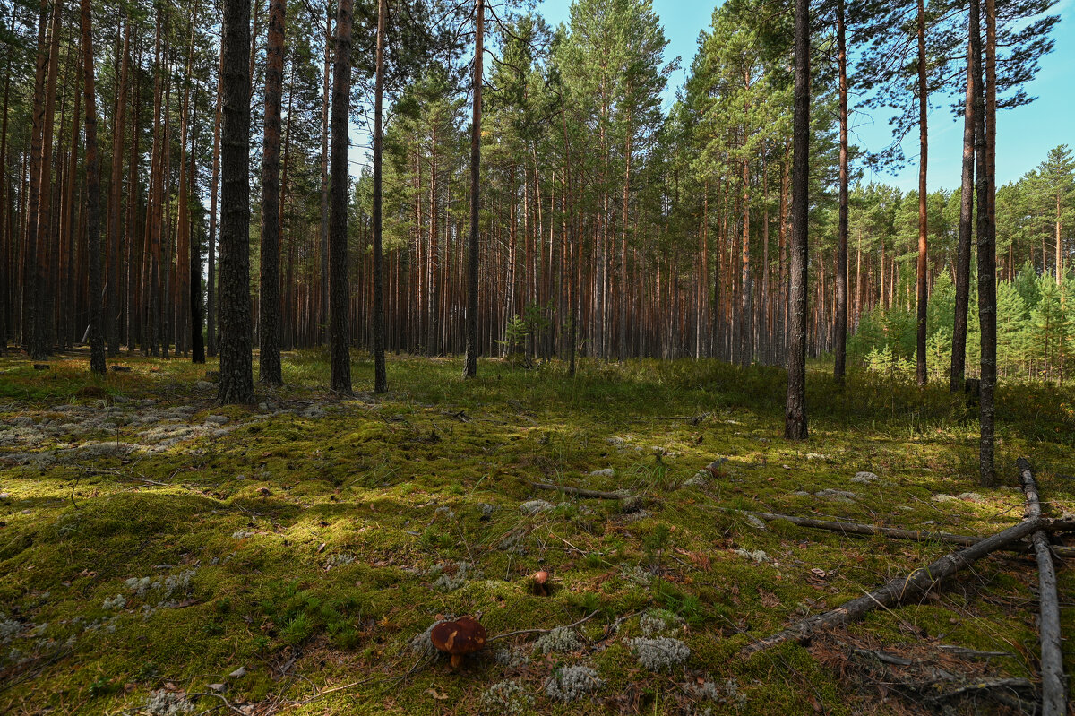 первая удача - сергей 