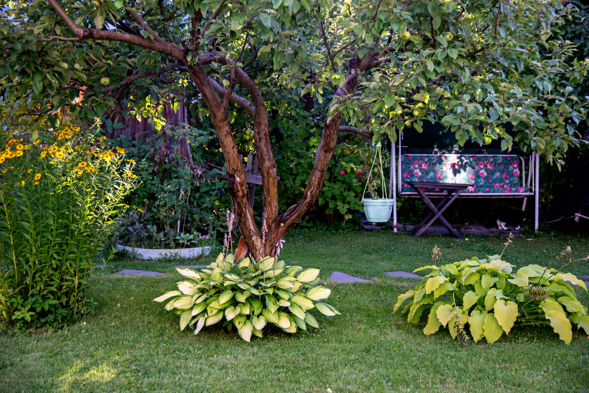 За городом - Виктор Орехов