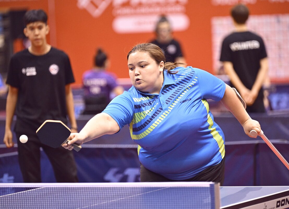 Игра - Георгиевич 