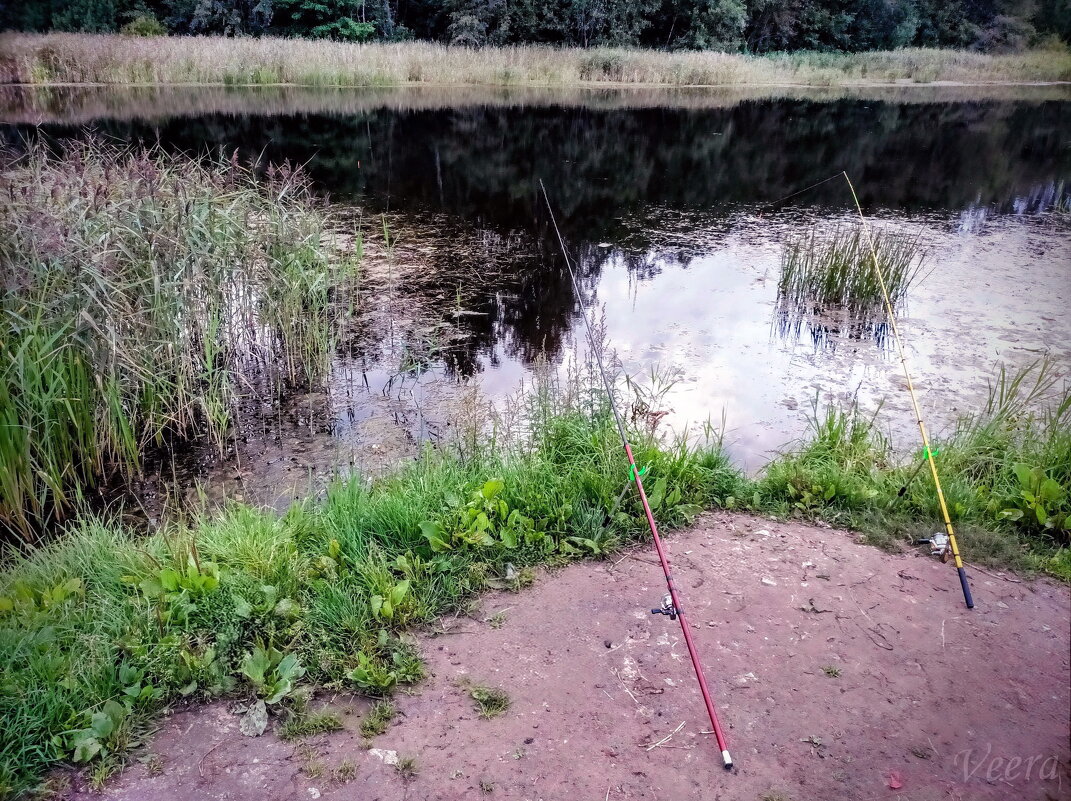 Все под контролем ) - Veera V