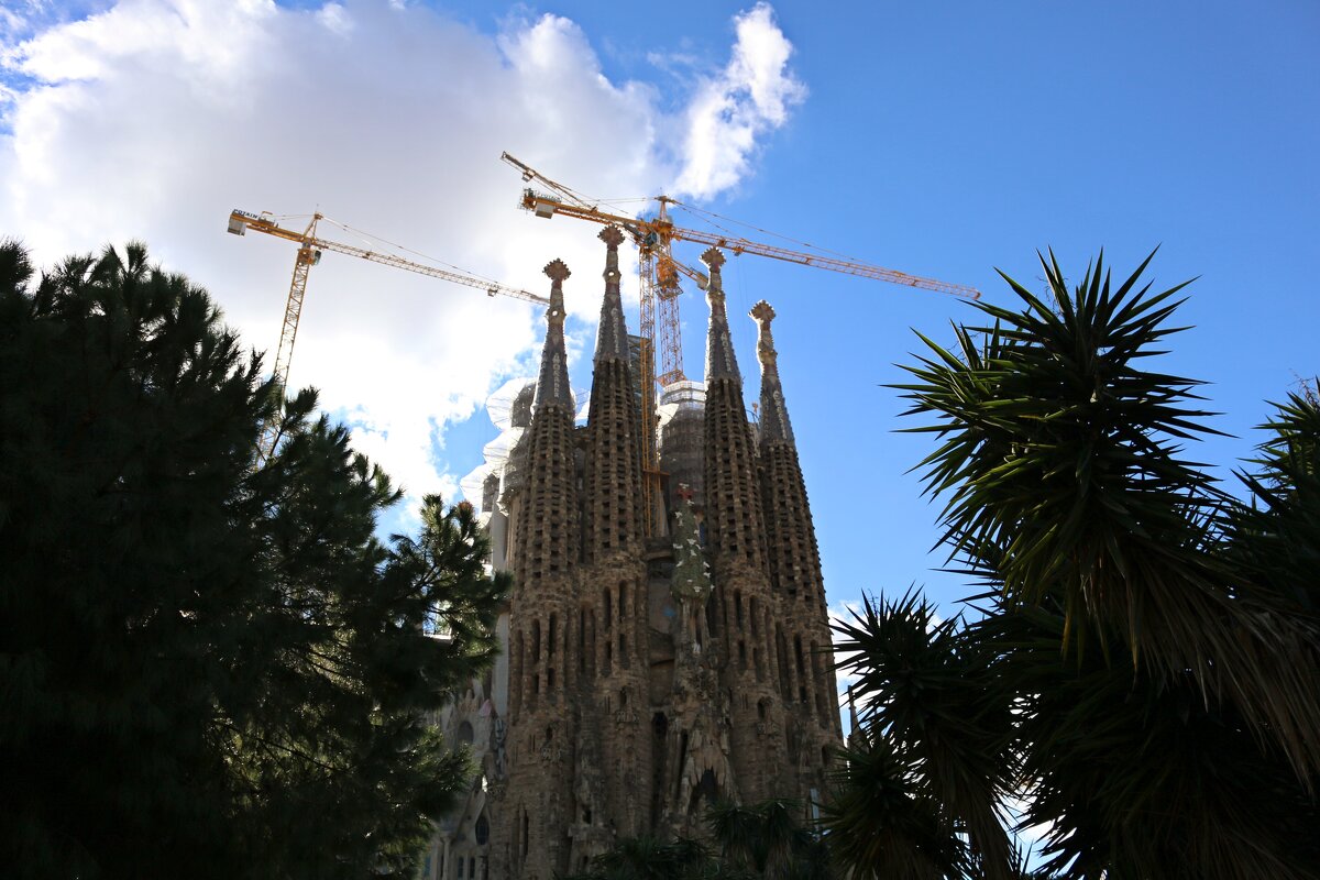 Вековая стройка - Ольга Вековая стройка - Ольга