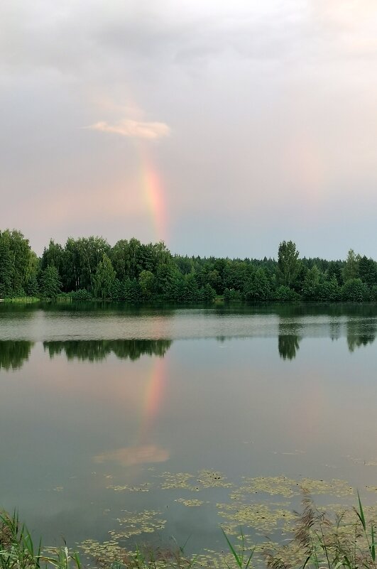 Радуга и её отражение в водн - Любимова Ольга 