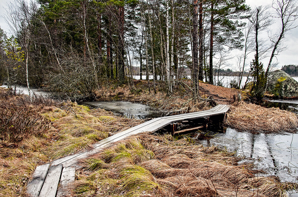 Природа манит - Alexandеr P