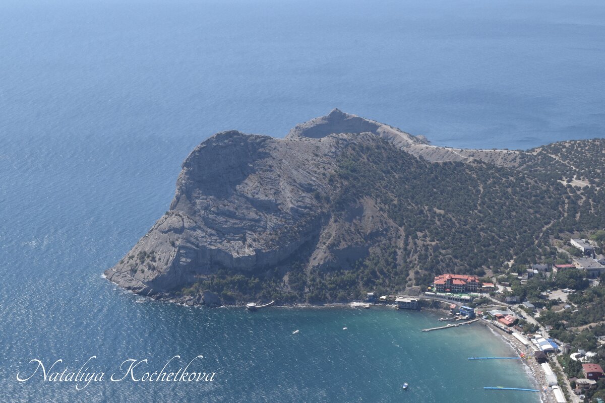 Природа Крыма - Amazing Cosmea