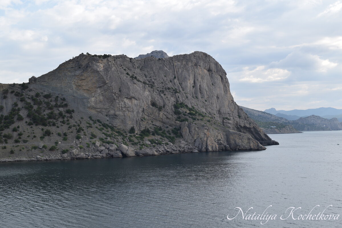 Природа Крыма - Amazing Cosmea