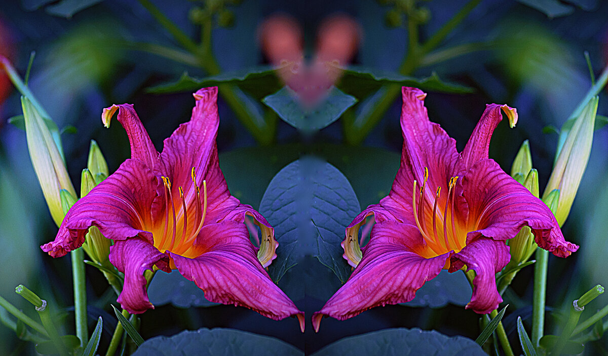 Летняя композиция - Владимир Кроливец