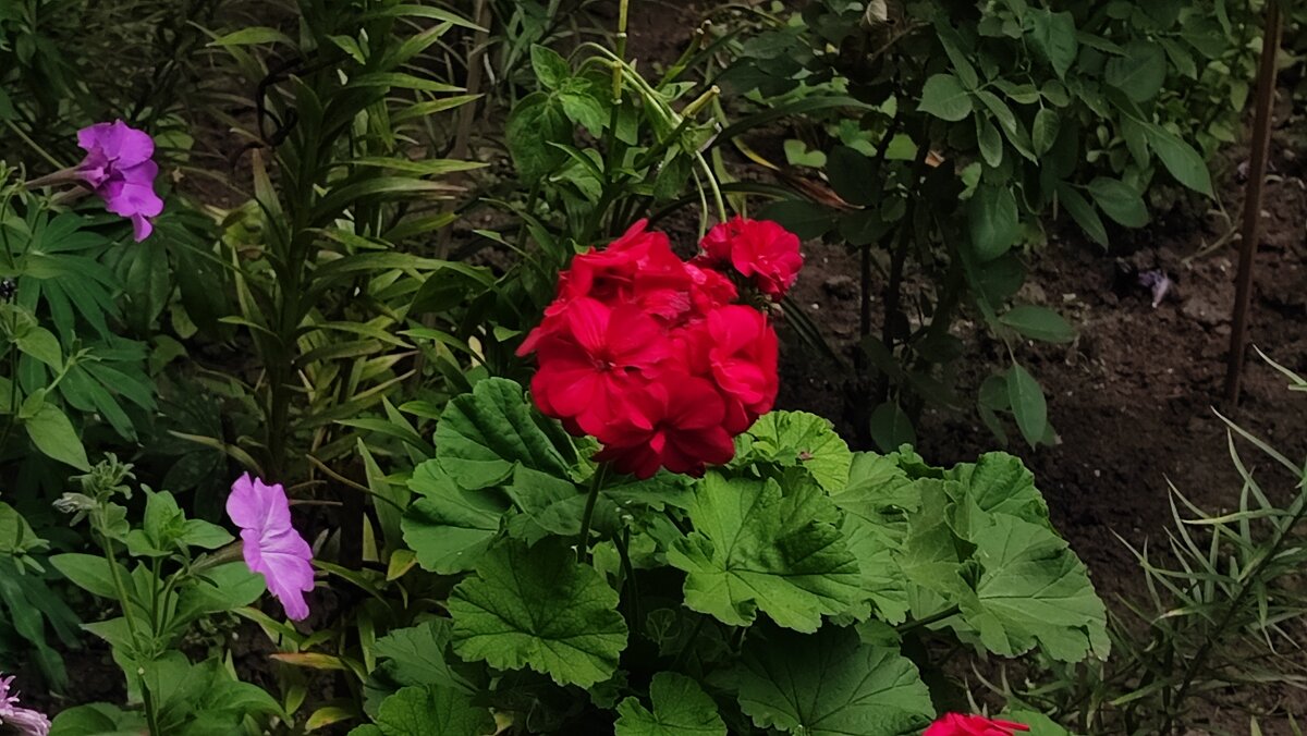 ,,, - Сергей Тимоновский