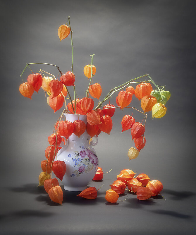 Натюрморт с физалисом, - Лилия *