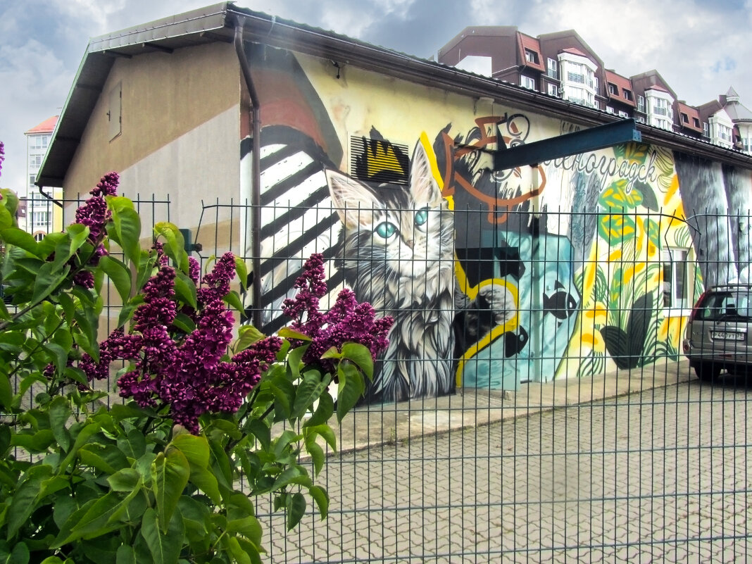 В новом квартале - Сергей Карачин