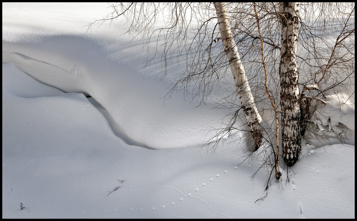 Март - **** vedin