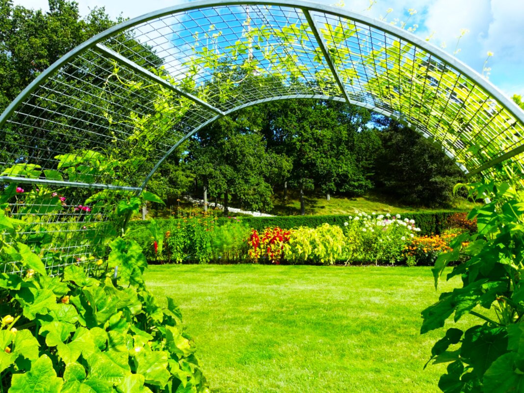 Ботанический сад украсился круговыми конструкциями - Aida10 