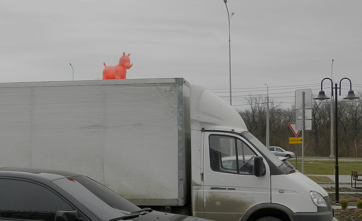 с розовым носорогом - Лера 