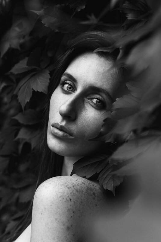 Портрет - Никита Романов