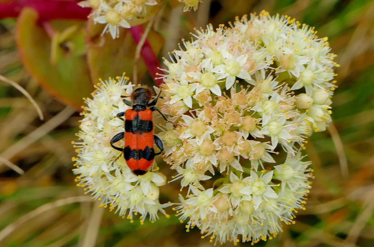 из снятого вчера 1 - Александр Прокудин