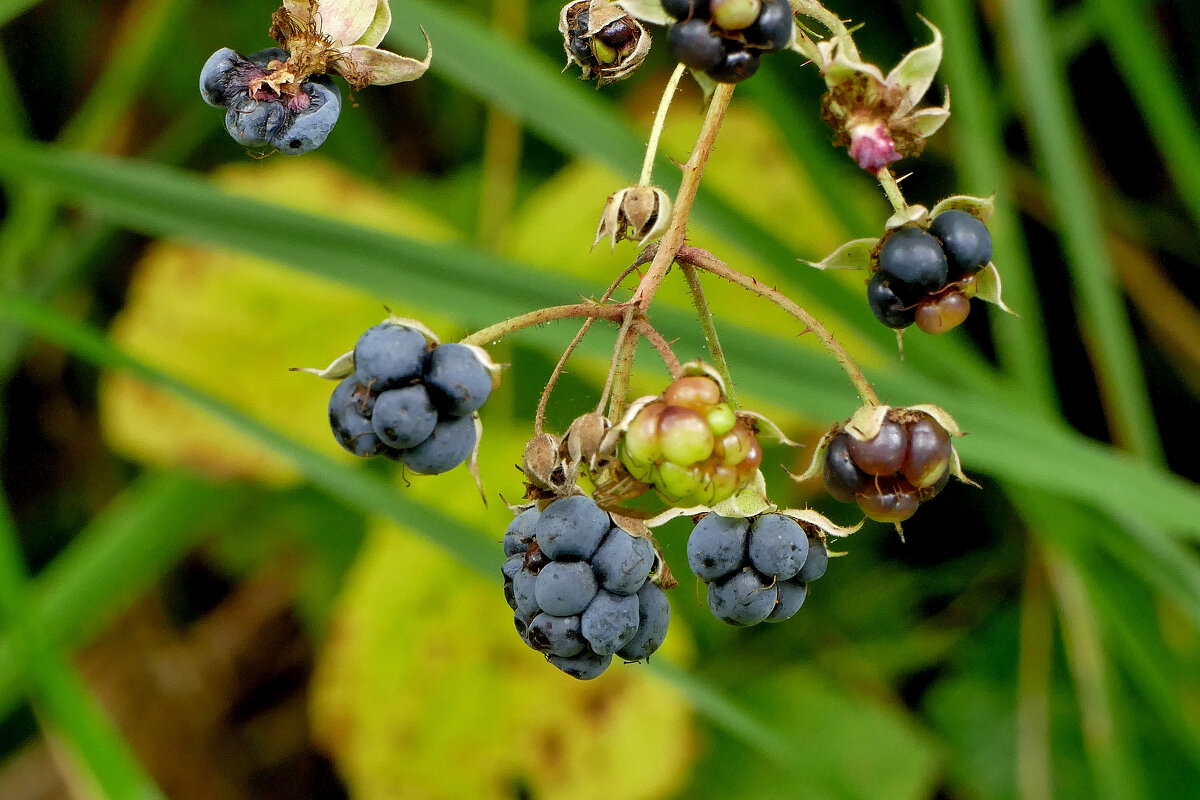 из снятого вчера 2 - Александр Прокудин
