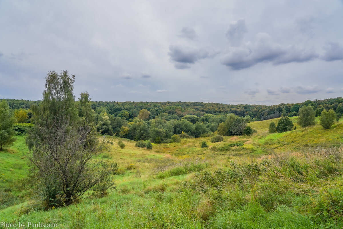 Август в Царицыно... - Владимир Жданов