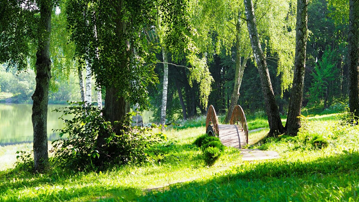 Летний пейзаж с мостиком (репортаж из поездки по области). - Милешкин Владимир Алексеевич Летний пейзаж с мостиком (репортаж из поездки по области). - Милешкин Владимир Алексеевич