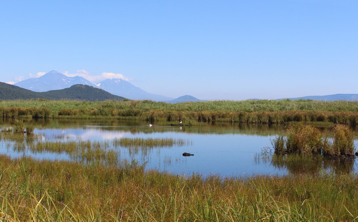 лето уходит - Александр Белов