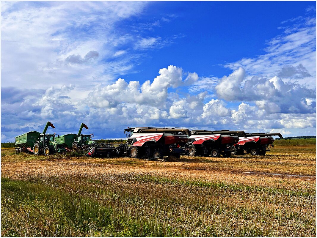 Сельхозтехника. - Валерия Комова