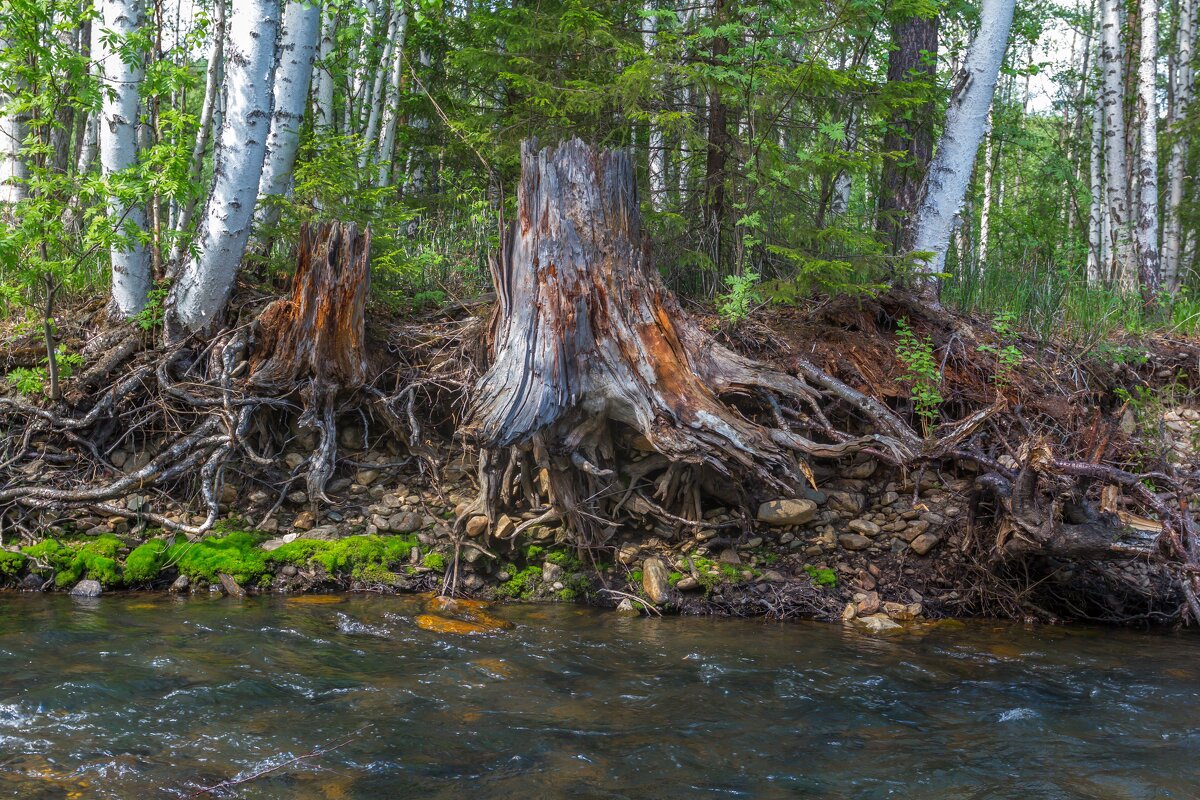 Река Куштумга. - Алексей Трухин