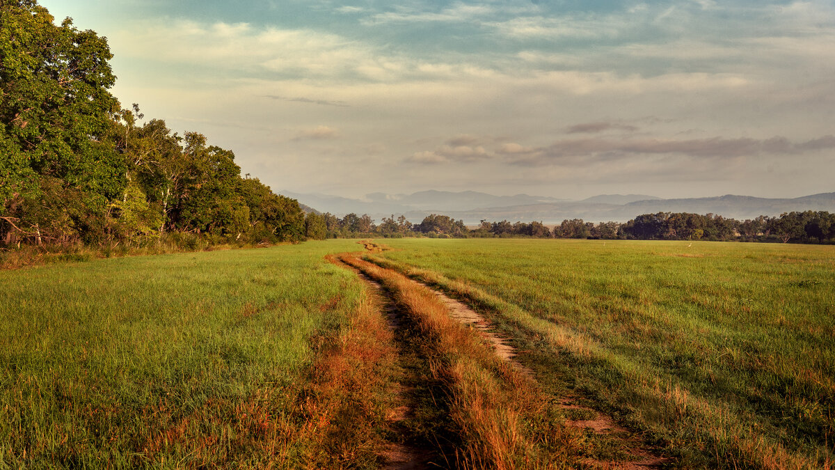 раздолье - Елена 